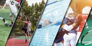 [德甲]弗赖堡不敌法兰克福 无缘下赛季欧冠